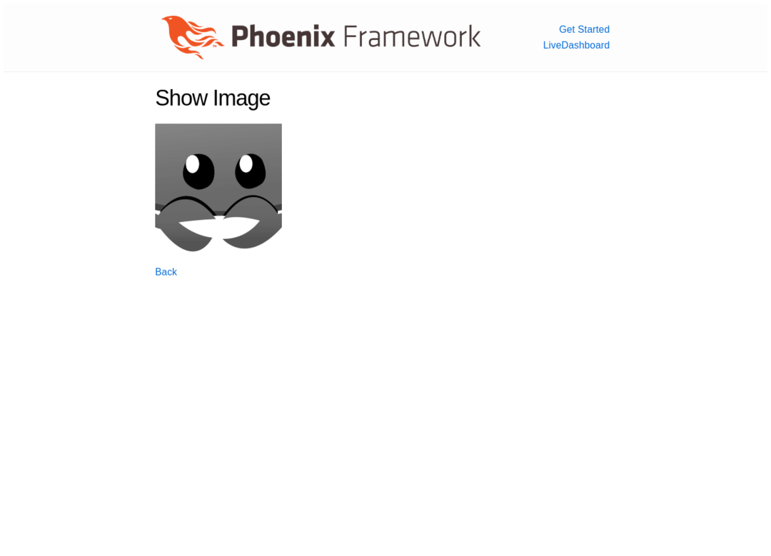 Phoenix Framework Show Image